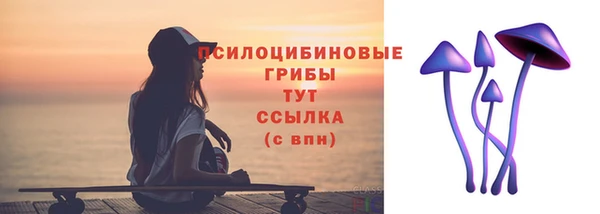 спайс Мегион