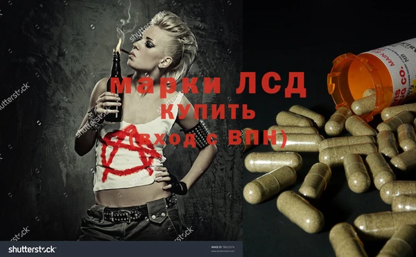 спайс Мегион
