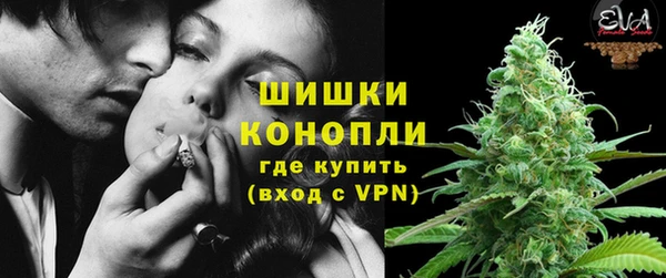 PSILOCYBIN Медвежьегорск