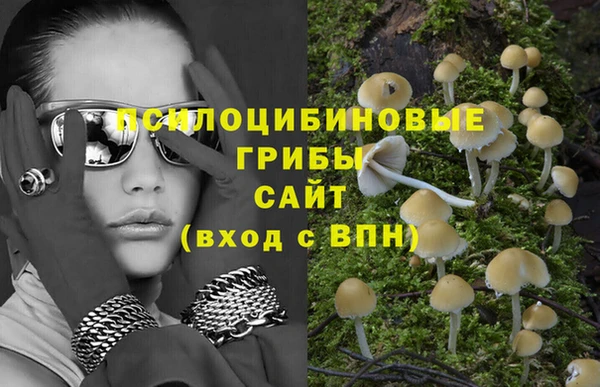синтетический гашиш Медногорск