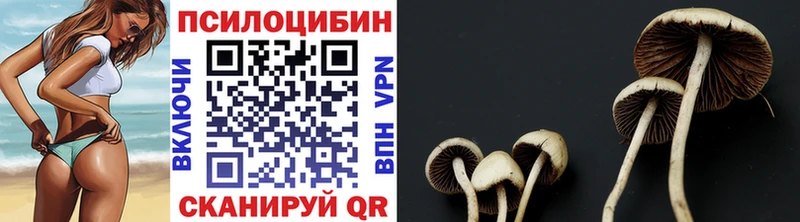 Псилоцибиновые грибы GOLDEN TEACHER  shop клад  Новоуральск  сколько стоит 