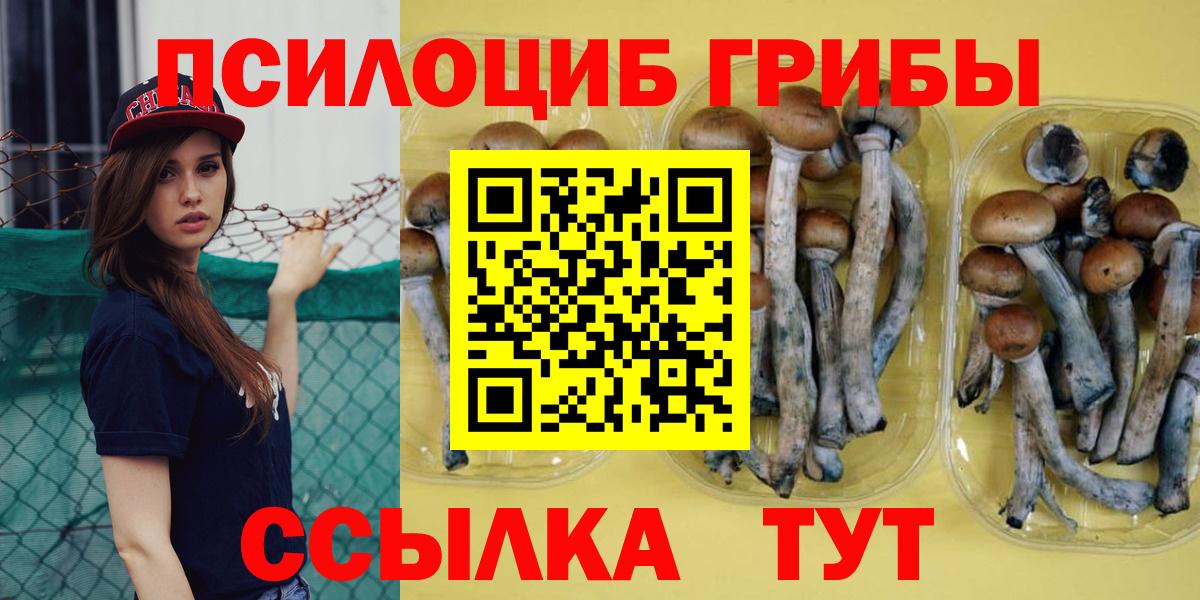 Псилоцибиновые грибы мицелий Новоуральск