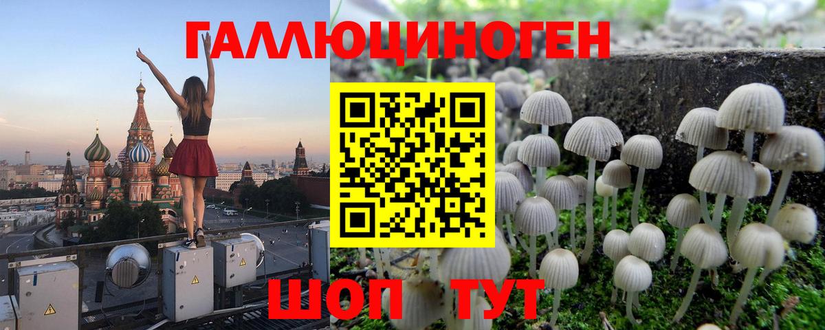 Галлюциногенные грибы MAGIC MUSHROOMS  Вход с VPN  Псилоцибиновые грибы Magic Shrooms  Новоуральск 