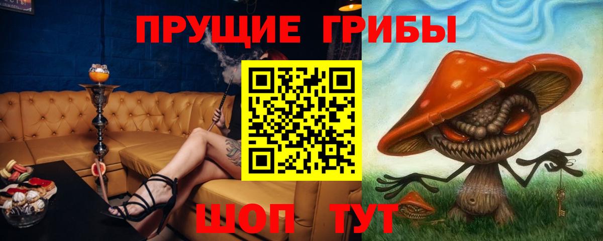 Псилоцибиновые грибы Psilocybe  где купить наркотик  Новоуральск 